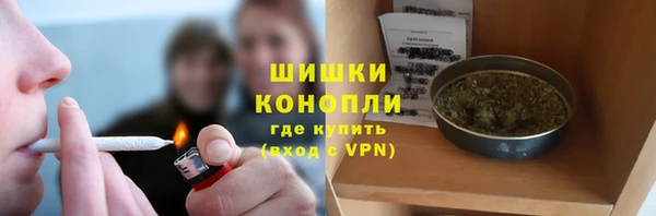 шишки Алзамай