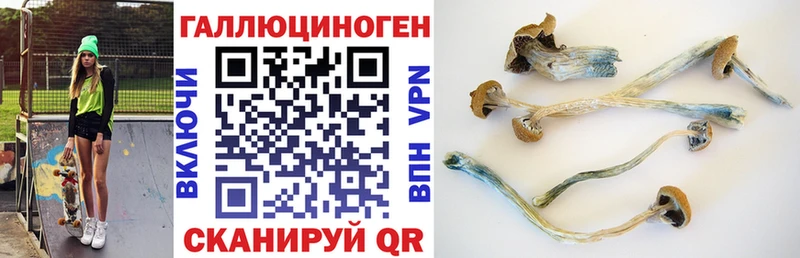 что такое   Лесной  Галлюциногенные грибы Cubensis 