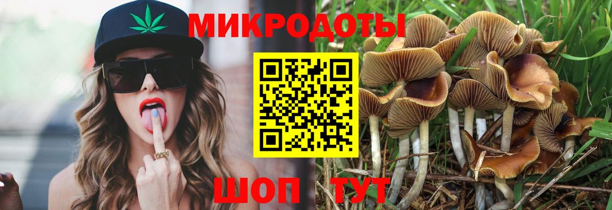 Псилоцибиновые грибы Psilocybine cubensis Лесной