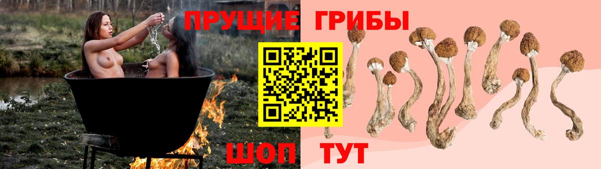 Псилоцибиновые грибы Psilocybine cubensis  Вход с VPN  Лесной  даркнет сайт  Псилоцибиновые грибы Psilocybe 