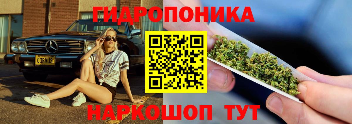 Канабис SATIVA & INDICA Лесной
